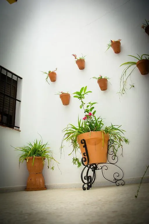 Guest house Hostal Malia Conil De La Frontera